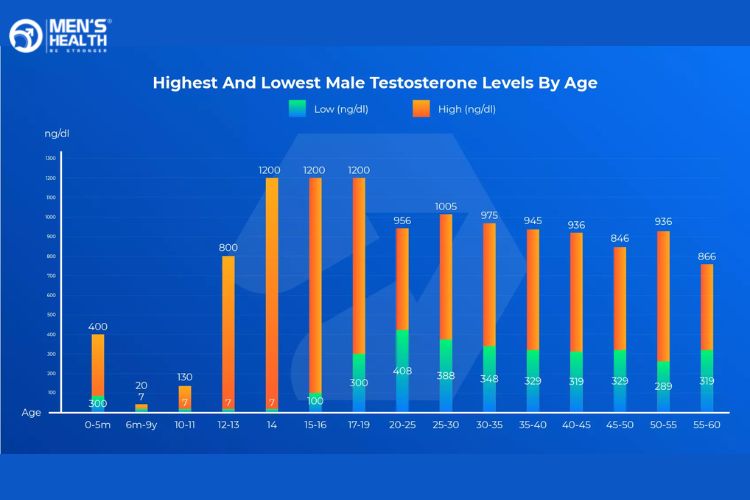 Biểu đồ nồng độ testosterone theo độ tuổi