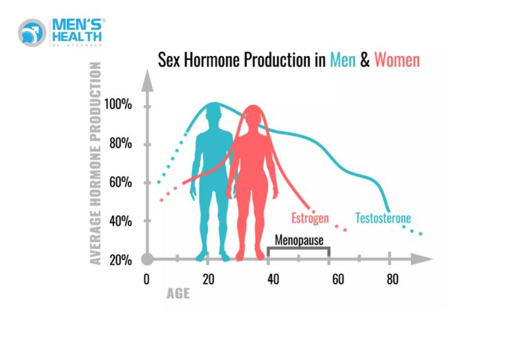 Biểu đồ nồng độ testosterone và estrogen giữa nam và nữ theo độ tuổi
